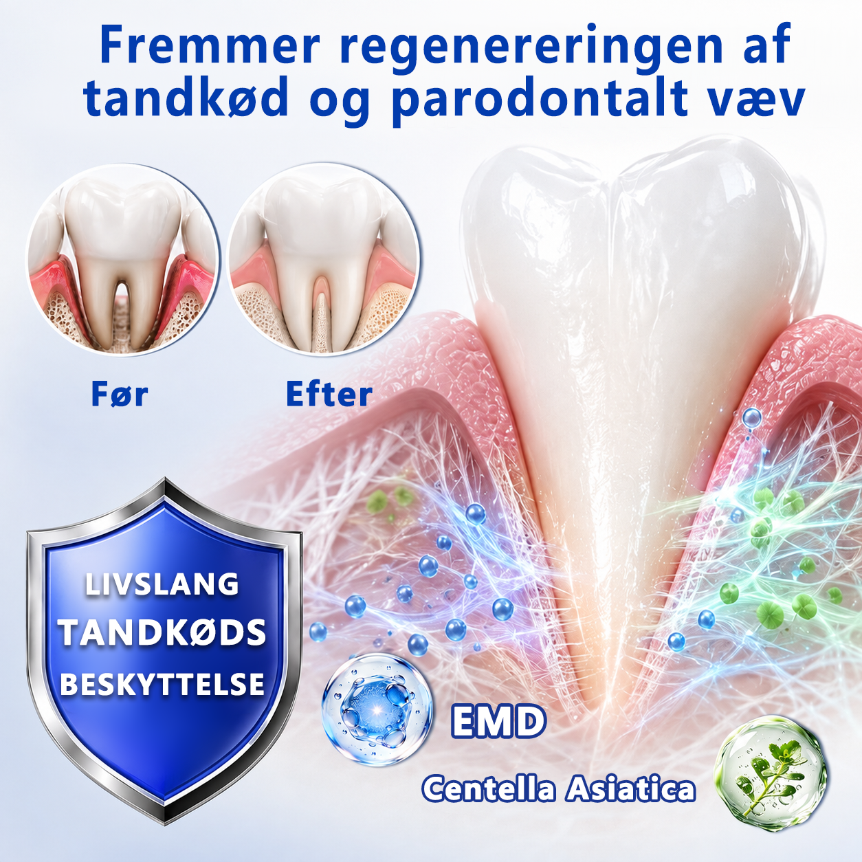 Choose the Gum-Care Plan That Fits Your Routine